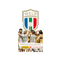 Meister Sticker by FC Hertha Wels