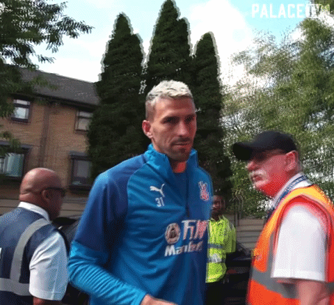 Crystal Palace Football GIF by CPFC