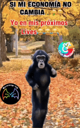 Feliz Musica GIF by Murcianys LLC