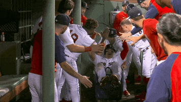 Major League Baseball Sport GIF by MLB