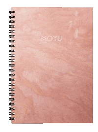 Earth Erase Sticker by MOYU Notebooks