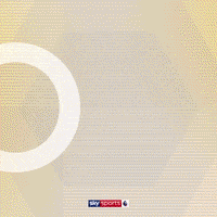 Goal Wolves GIF by skysports