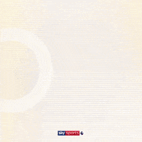 Football Soccer GIF by skysports