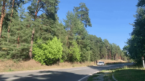 e-Kazan giphyupload казань юдино август-2021 GIF