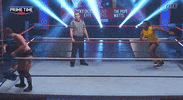The Pope Nwa GIF by United Wrestling Network