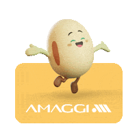 Din Zinho Sticker by AMAGGI