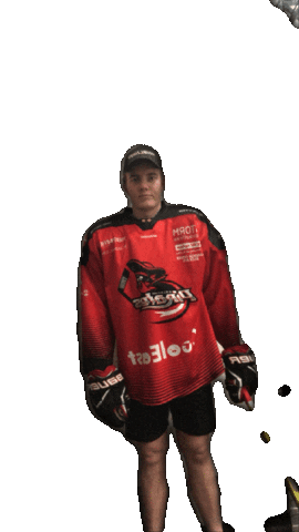 Hockey Pirates Sticker by AalborgPirates