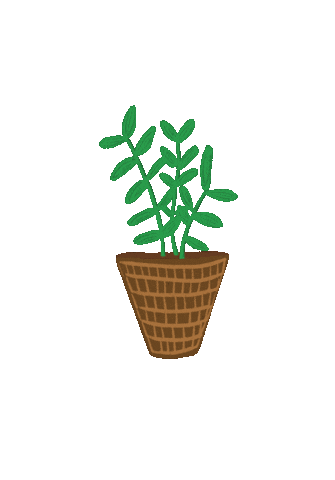 Plant Palm Sticker