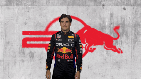 Red Bull Sport GIF by Oracle Red Bull Racing