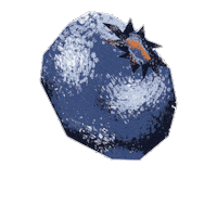Blueberry Sticker by Evoolution