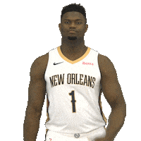Basketball Nba Sticker by New Orleans Pelicans