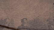 Chicago Dc GIF by Casanova Records