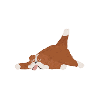 bulldog_club dog bulldog sono cansado Sticker