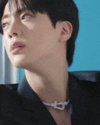 Jin GIF