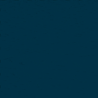 Happy Royal Dutch Airlines GIF by KLM