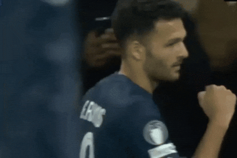 Paris Saint-Germain Psg GIF