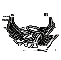 Angel Wings Love Sticker by Charlotte Lawrence