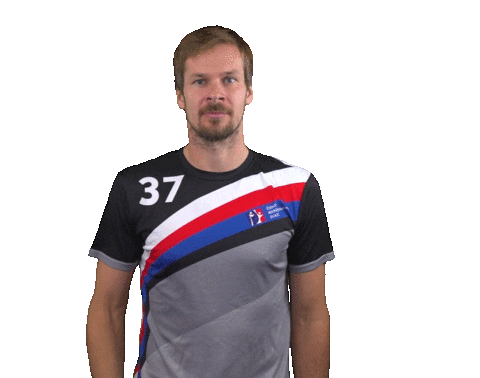 Korfbalcz giphyupload cesko korfbal czechia Sticker