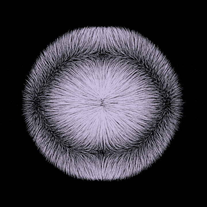 Black And White Love GIF by roberthruska