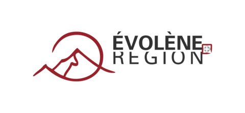 evoleneregion giphyupload montagne valais sion Sticker