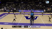 GIF by Washington Athletics