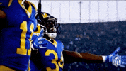 2018 nfl football GIF by NFL