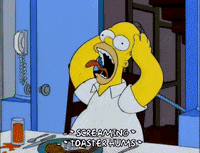 homer simpson episode 6 GIF