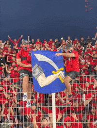 Fans Algeria GIF