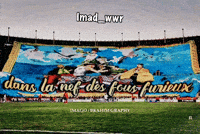imadwwr fans algeria ua ultras GIF