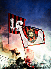 Fans Algeria GIF