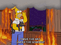 homer simpson snowball GIF