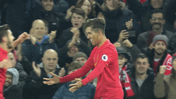lfc stoke GIF by Liverpool FC