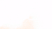 Celebration Goal GIF by FC Red Bull Salzburg