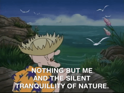 hey arnold nicksplat GIF