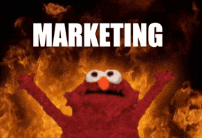 GIF by Sara Campbell - Savvy Music Studio