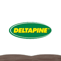Cotton Sticker by DEKALB Asgrow Deltapine