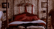 Christmas Wet Bandits GIF by Home Alone