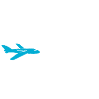 Airplane Flying Sticker by Laraaeronautica