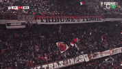 football celebration GIF