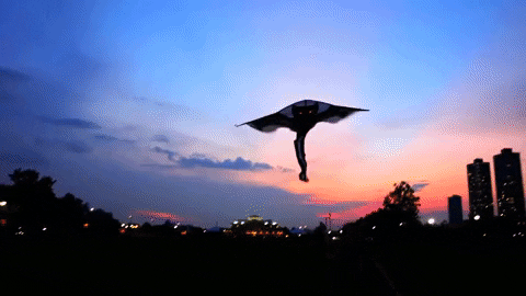 TechnoChic giphyupload light up eyes light up kite bat kite GIF