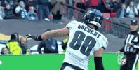2018 nfl football GIF by NFL