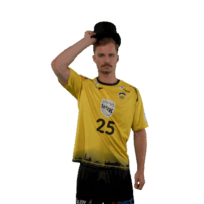 Handball Coburg Sticker by DAIKIN HBL