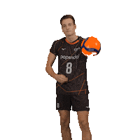 Volleyball Papendal Sticker by Nevobo