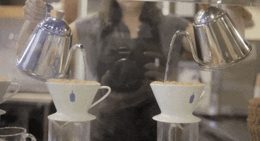 blue bottle coffee GIF by Julieee Logan