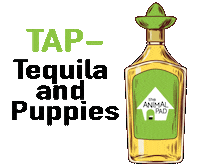 Mexico Shot Sticker by theanimalpad