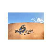Pinnacleevent Sticker by Pinnacle Toledo