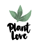 Plant Minimalism Sticker by COUCH – das Magazin, die Community