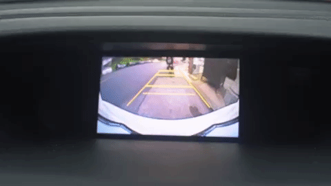 GIF by NorCal Honda Dealers