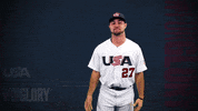 Pro GIF by USA Baseball