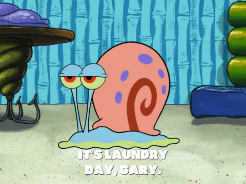 season 6 squid's visit GIF by SpongeBob SquarePants